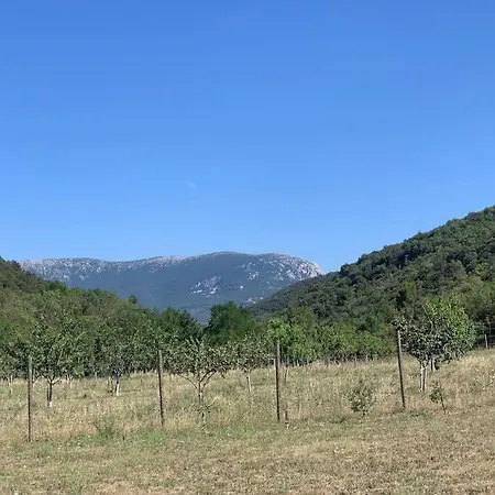 L'ancienne Raffinerie De Tabac *