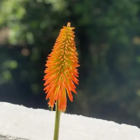 Dom wakacyjny L'ancienne Raffinerie De Tabac