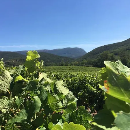 L'ancienne Raffinerie De Tabac Dom wakacyjny *