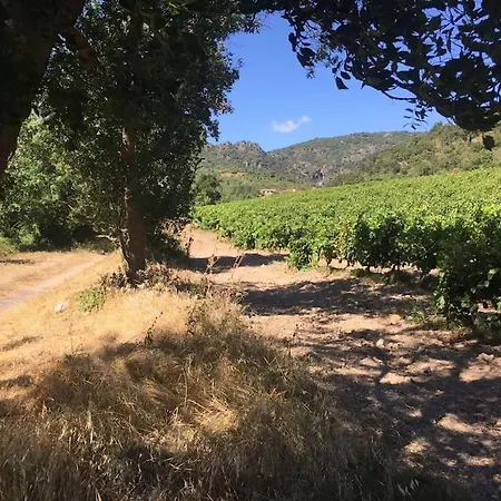 L'ancienne Raffinerie De Tabac Dom wakacyjny Dernacueillette