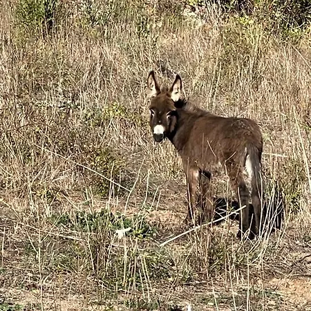 Dom wakacyjny L'ancienne Raffinerie De Tabac Dernacueillette
