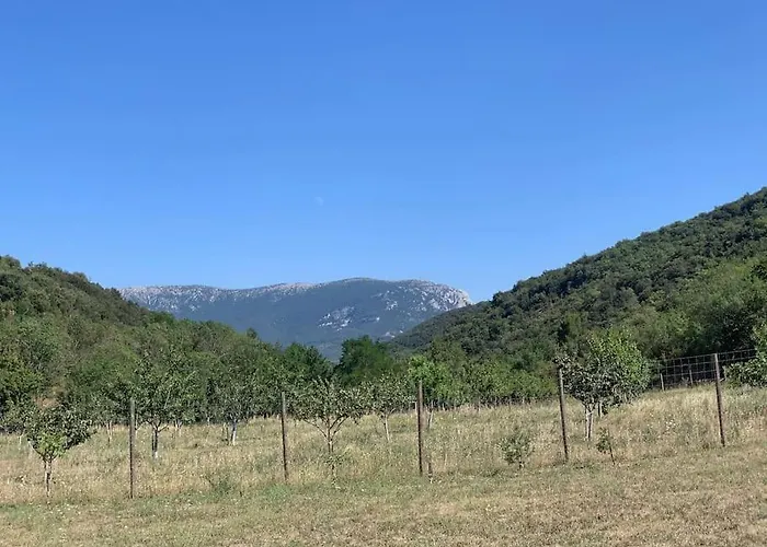 L'ancienne Raffinerie De Tabac *