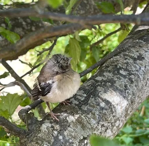 L'ancienne Raffinerie De Tabac Feriehus