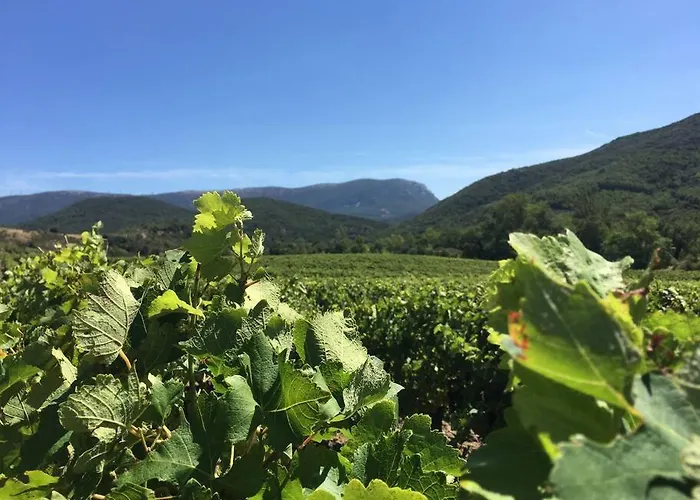 L'ancienne Raffinerie De Tabac Feriehus *