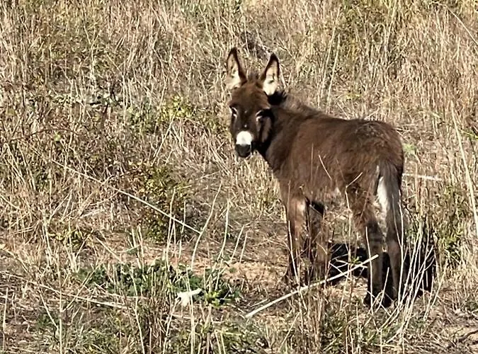 Feriehus L'ancienne Raffinerie De Tabac Dernacueillette