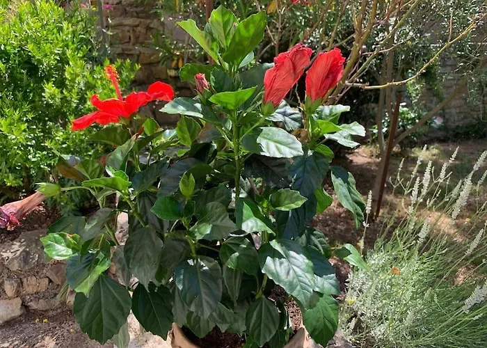 Feriehus L'ancienne Raffinerie De Tabac *