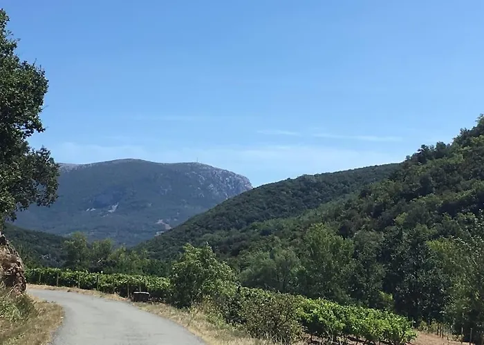 L'ancienne Raffinerie De Tabac