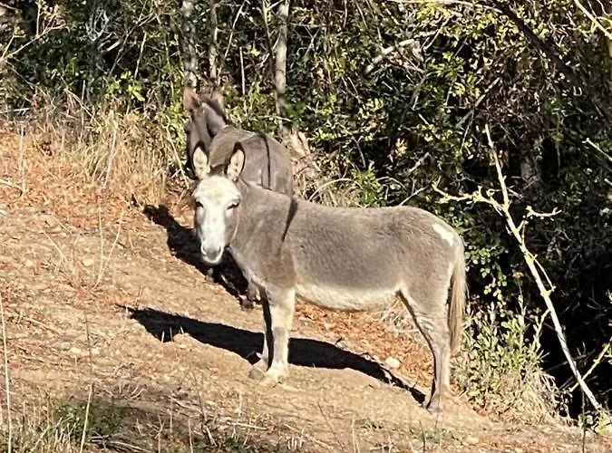 L'ancienne Raffinerie De Tabac Dernacueillette